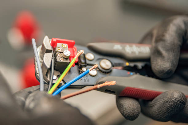 Best Electric Panel Repair  in Tega Cay, SC